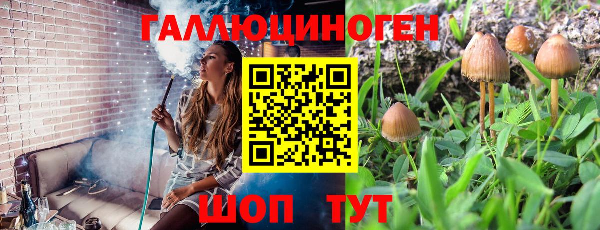 Медногорск  Галлюциногенные грибы GOLDEN TEACHER  Вход с VPN 