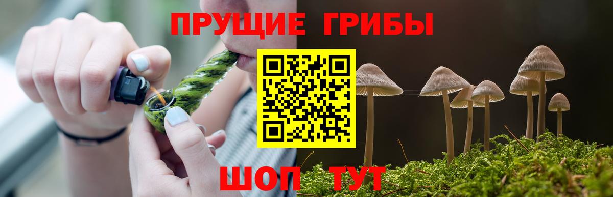 Галлюциногенные грибы MAGIC MUSHROOMS Медногорск